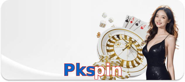 Pkspin interface sample